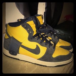 Michigan Dunk SB